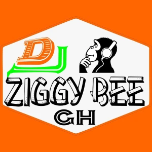 Dj Ziggy Bee pro