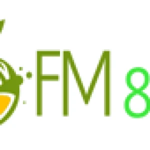 Lemon 88.8