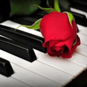 Radio Art - Solo Piano