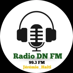Radio D N Fm