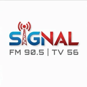 Radio Signal FM