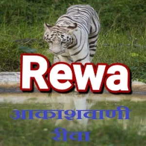 AIR Rewa