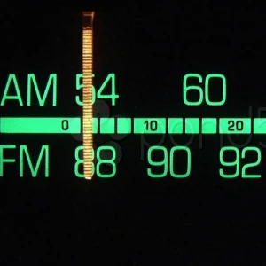 ShripadRadio Stream