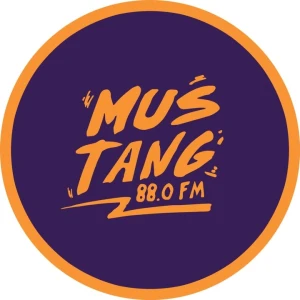 Mustang 88 FM