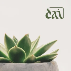 Radio Da'i