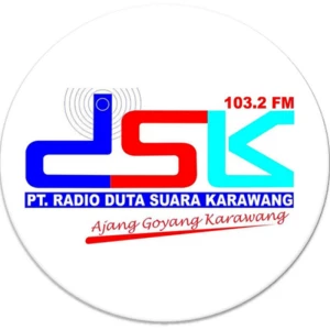 Radio DSK FM