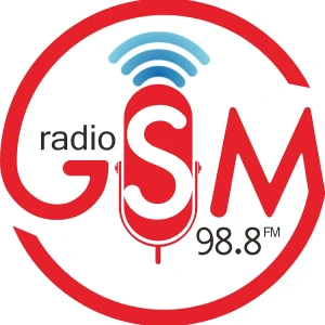 Radio GSM 98.8 FM Brebes