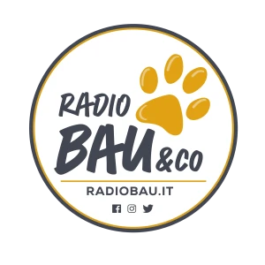 Radio Bau & Co