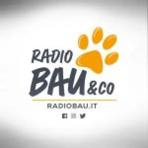 Radio Bau &amp; Co