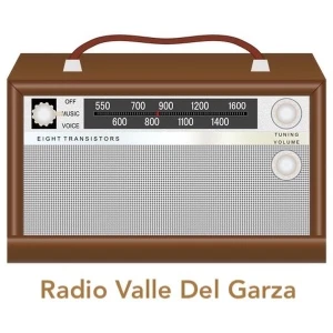 Radio valle del garza