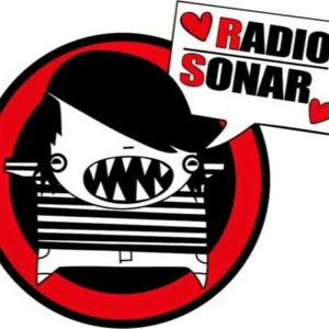RadioSonar.Net
