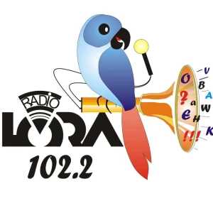 Radio LoRa Diekirch