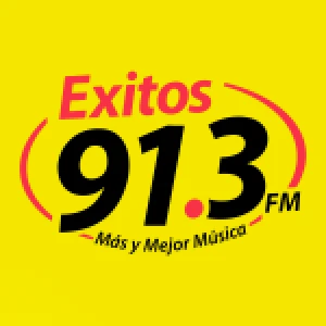 Éxitos 91.3