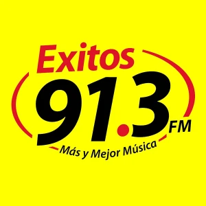 Éxitos 91.3