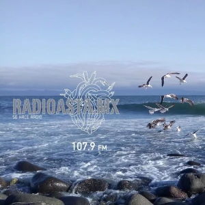 Radioasta