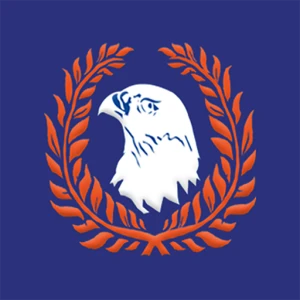 Falcon FM