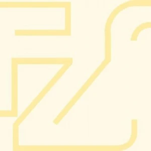 FlevoZiekenOmroep (FZO)