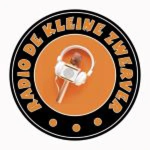 Radio de kleine zwerver