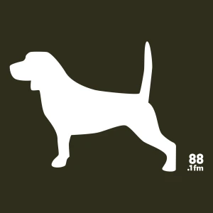Beagle Radio