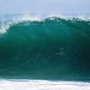 Radiowave NZ