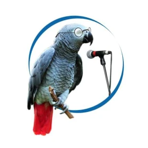 Freedom Radio Dutse