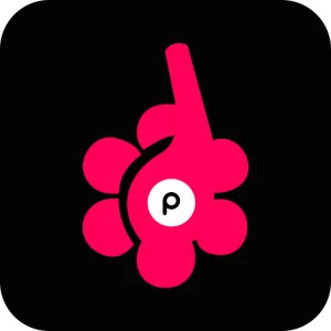 Petals 102.3 FM