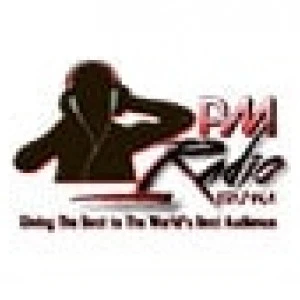 THE PM RADIO