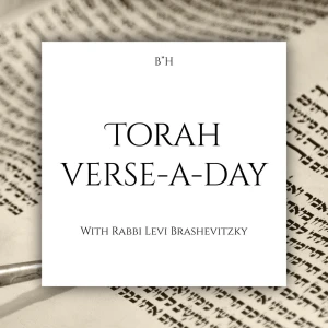 Torah - Verse-A-Day