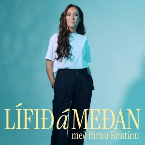 Lífið á meðan