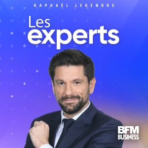Les experts