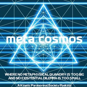 Meta-Cosmos