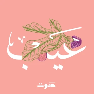 Eib | عيب