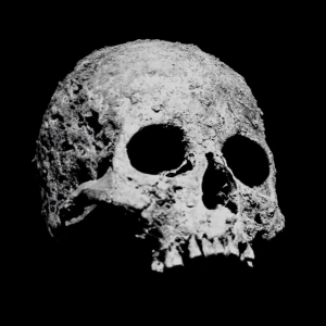 Ossos Perdidos