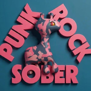 PUNK ROCK SOBER