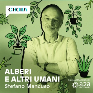 Alberi e altri umani