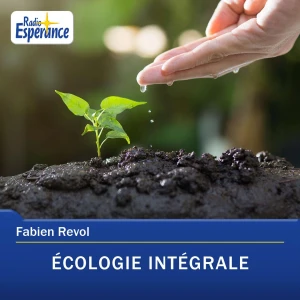 Chronique d’écologie intégrale