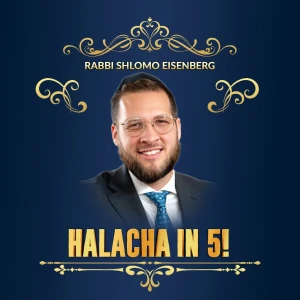 Rabbi Eisenberg !B'nai Israel of Norfolk VA-Torah!