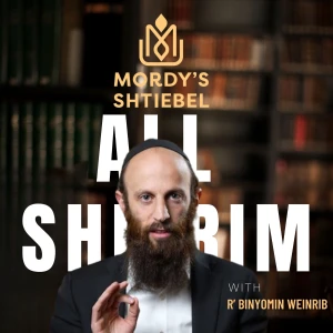 The Mordy Shteibel’s Podcast (Rabbi Binyomin Weinrib)