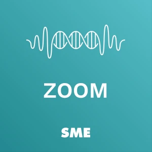 Zoom