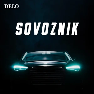 Sovoznik