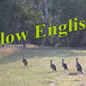 Slow English