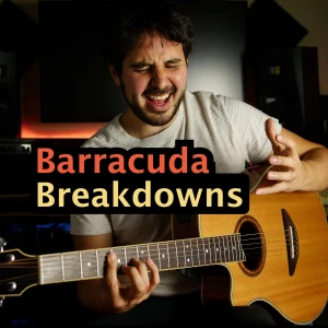 Barracuda Breakdowns