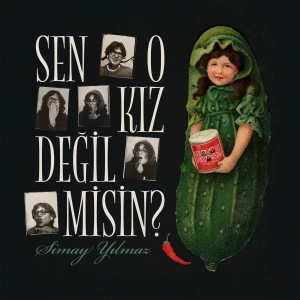Sen o kız değil misin?
