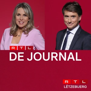 Journal (TV)