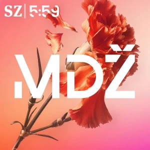 MDŽ