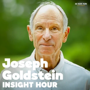 Insight Hour with Joseph Goldstein
