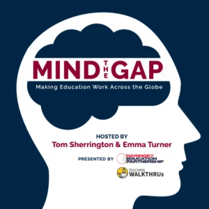 Mind the Gap: Making Education Work Across the Globe