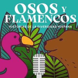 Osos y flamencos