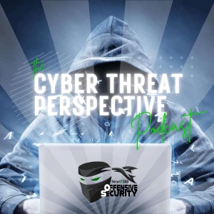 The Cyber Threat Perspective