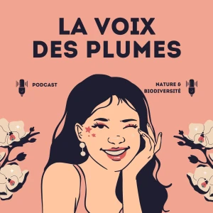 A la découverte des oiseaux de France